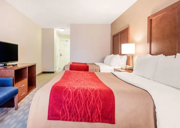 Queen Suite